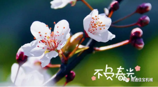 每一個春天都會如約而至，南通佳寶與您同在